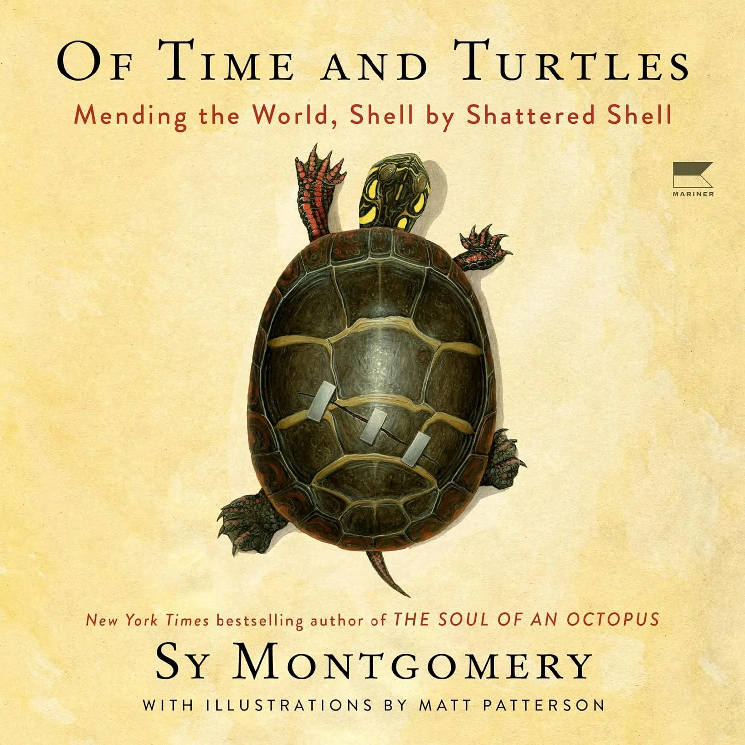 Of Time and Turtles: Mending the World, Shell by Shattered Shell Audio CD  Unabridged, September 19, 2023