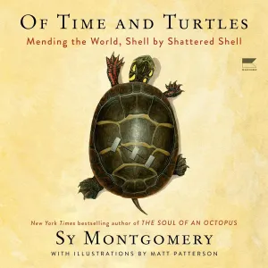 Of Time and Turtles: Mending the World, Shell by Shattered Shell Audio CD  Unabridged, September 19, 2023